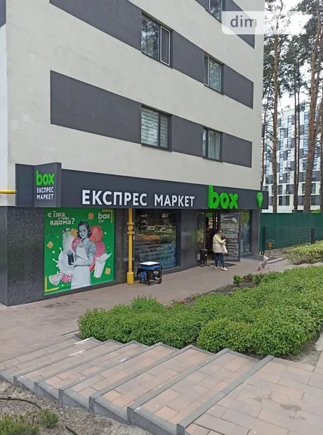 Квартира на пров. Богдана Ступки, 1 в Києві, ID 346392, фото №23