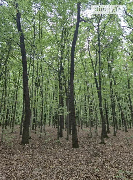 Квартира на вул. Миколаївська, 27 в Вінниці, ID 350169, фото №11