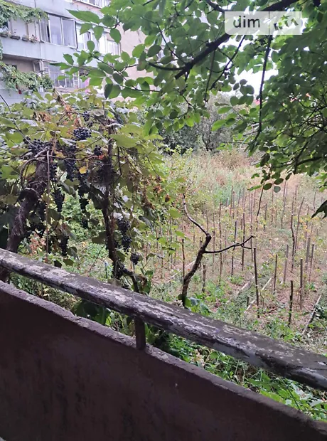 Квартира на вул. Франтішека Тихого, 19 в Ужгороді, ID 351785, фото №18