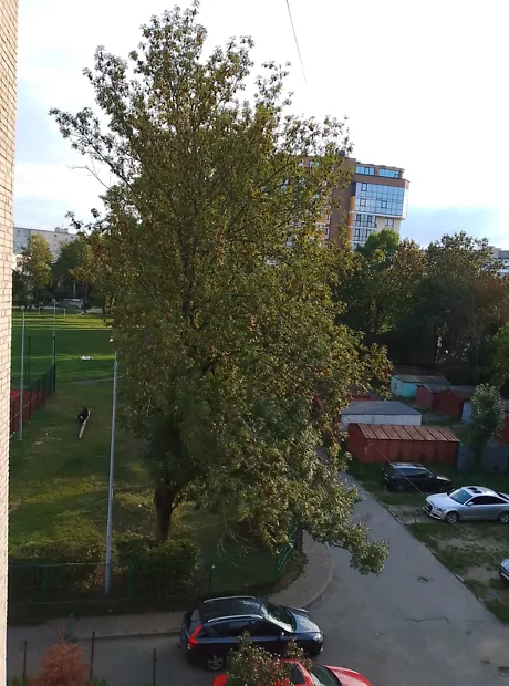 Квартира на вул. Мисливська, 15 в Львові, ID 399647, фото №12