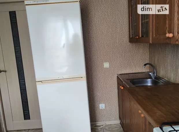 Квартира на вул. Шнеєрсона Менахем-Мендл, 11 в Дніпрі, ID 407667, фото №27