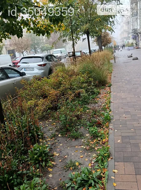 Квартира на вул. Богдана Хмельницького, 36А в Київ, ID 408363, фото №5