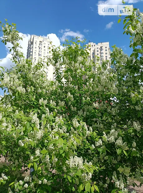 Квартира на вул. Княжий Затон, 9 в Києві, ID 409760, фото №29