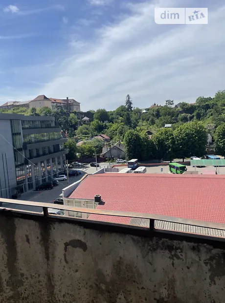 Квартира на вул. Добрянського в Ужгороді, ID 414101, фото №10