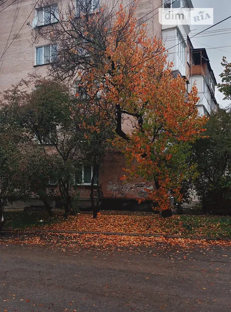 Квартира на вул. Огієнка, ID 428448, фото №1