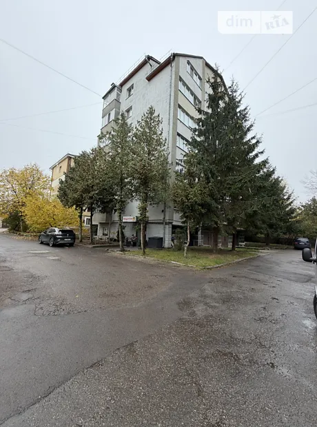 Квартира на вул. Української Дивізії в Івано-Франківську, ID 478715, фото №24