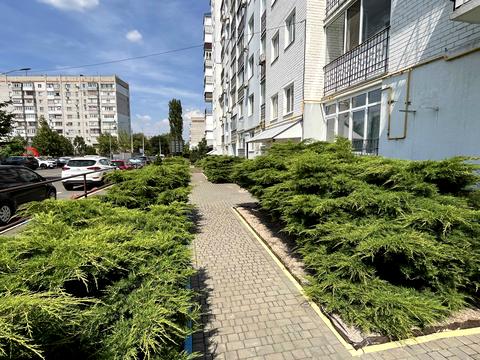 Квартира на вул. Архітектора Старова, 2 в Миколаєві, ID 183793, фото №10