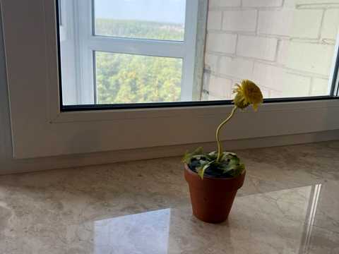 Квартира на вул. Будівельників, 11 в Києві, ID 311383, фото №6