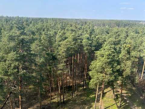 Квартира на вул. Будівельників, 11 в Києві, ID 311383, фото №9