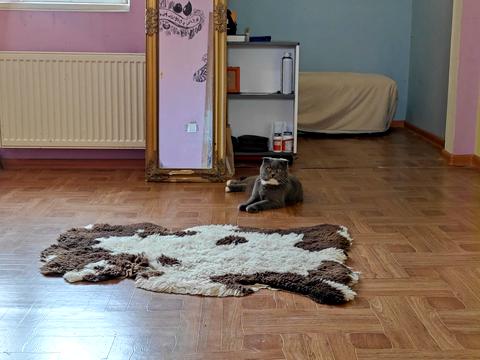 Квартира на вул. Римарська, 19 в Харкові, ID 202349, фото №10
