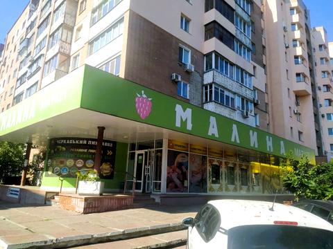 Квартира на вул. Смілянська вул., 58/2 в Черкасах, ID 235825, фото №10