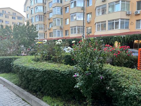 Квартира на вул. Тарасівська, 9 в Києві, ID 273683, фото №30