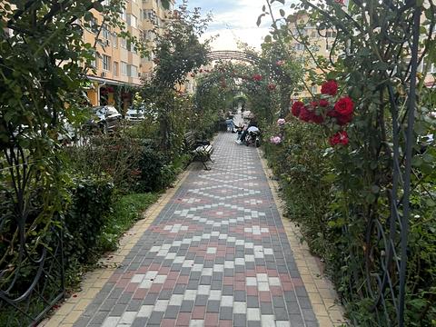 Квартира на вул. Тарасівська, 9 в Києві, ID 273683, фото №39