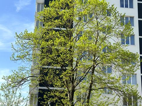 Квартира на вул. Галицька в Івано-Франківську, ID 179317, фото №2