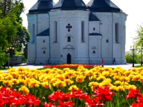 Квартира на вул. Княжа, 21 в Чернігів, ID 250156, фото №2