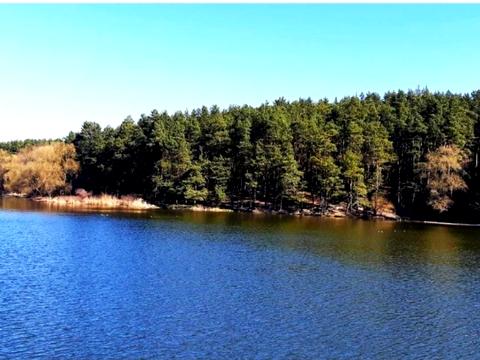 Квартира на вул. Стрілецька, 98 в Чернігові, ID 219346, фото №8