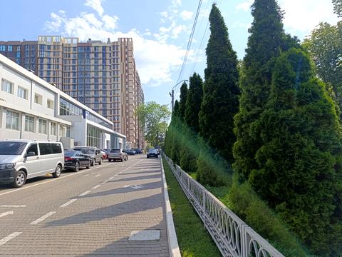 Квартира на вул. Прохоровська, 20 в Одесі, ID 197147, фото №19