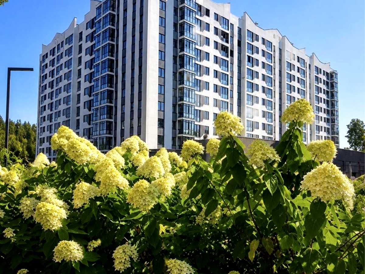 Квартира на вул. Мисливська, 24 в Києві, ID 309879, фото №1