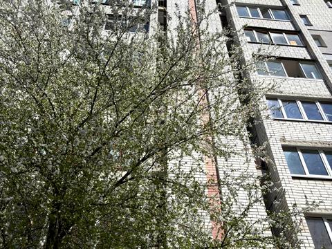Квартира на вул. Мартина Небаби, 102 в Чернігові, ID 232102, фото №23