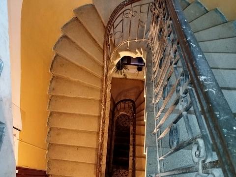 Квартира на вул. Братів Міхновських, 33 в Львові, ID 203314, фото №17