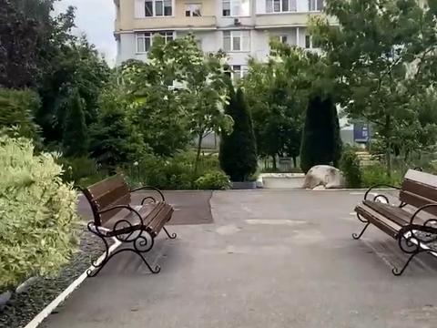 Квартира на вул. Григорія Сковороди, 3 в Києві, ID 224188, фото №27