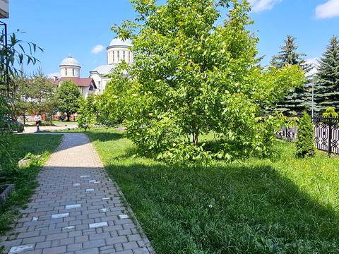 Квартира на вул. Володимира Івасюка, 50-В в Івано-Франківську, ID 172218, фото №21