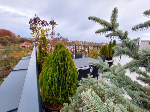 Квартира на вул. Петра Лодія в Львові, ID 180548, фото №23