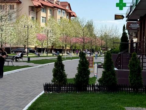 Квартира на вул. Миру, 15-А в Києві, ID 273966, фото №8
