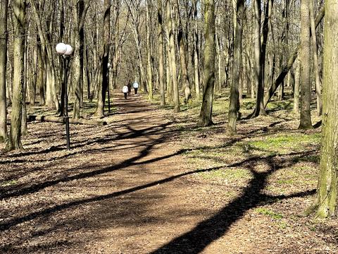 Квартира на вул. Академіка Заболотного, 15-В в Києві, ID 168681, фото №18