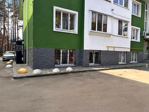 Квартира на вул. Рильського, 7-Г в Києві, ID 257905, фото №18