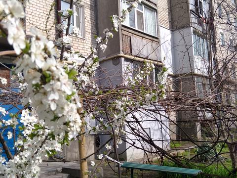 Квартира на вул. Рибна, 7 в Миколаєві, ID 173645, фото №2