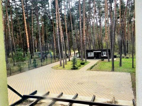 Квартира на вул. Битицька, 55 в Сумах, ID 293437, фото №5