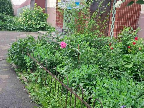 Квартира на просп. Романа Шухевича, 30 в Києві, ID 218502, фото №28