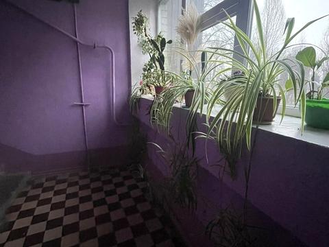 Квартира на вул. Портова, 9 в Запоріжжі, ID 195327, фото №16