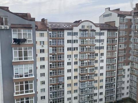 Квартира на вул. Височана вул., 18 к40 в Івано-Франківську, ID 175239, фото №24