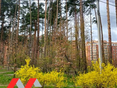 Квартира на вул. Лісова вул., 4-Л/2 в Києві, ID 227610, фото №34