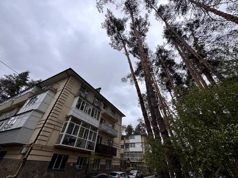 Квартира на вул. Рильського, 7-Ж в Києві, ID 234891, фото №14