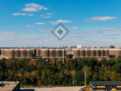 Квартира на вул. Панорамна, 2-Г в Києві, ID 309848, фото №44