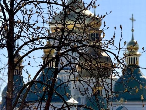 Квартира на вул. Стрілецька вул., 7/6 в Києві, ID 176473, фото №5