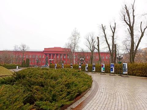 Квартира на вул. Терещенківська, 13 в Києві, ID 177159, фото №18
