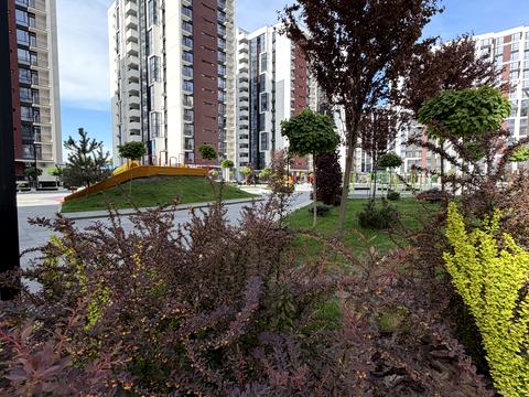 Квартира на вул. Ленкавського вул., 34 к11 в Івано-Франківську, ID 164649, фото №23