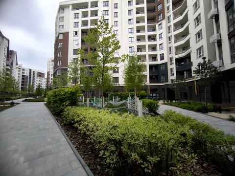 Квартира на вул. Ольги Кобилянської вул. , 1-В/16 в Києві, ID 241342, фото №9