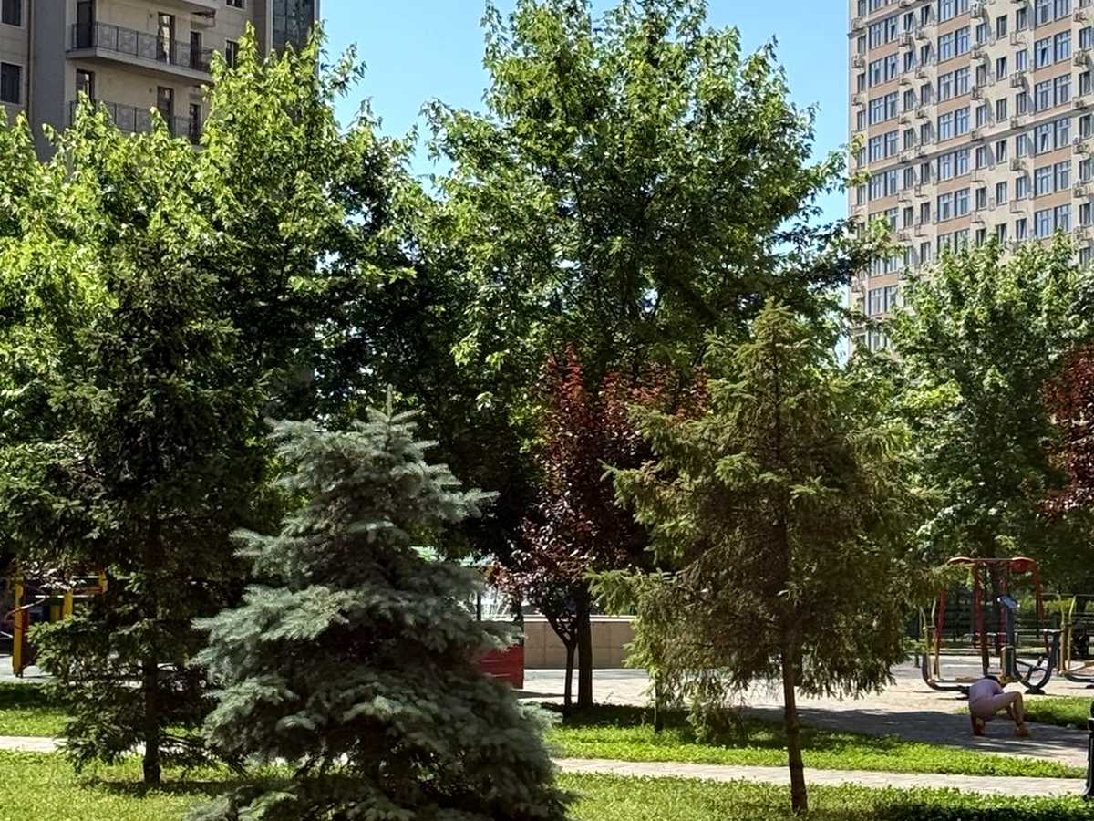 Квартира на вул. Перлинна, 3 в Одесі, ID 388980, фото №19