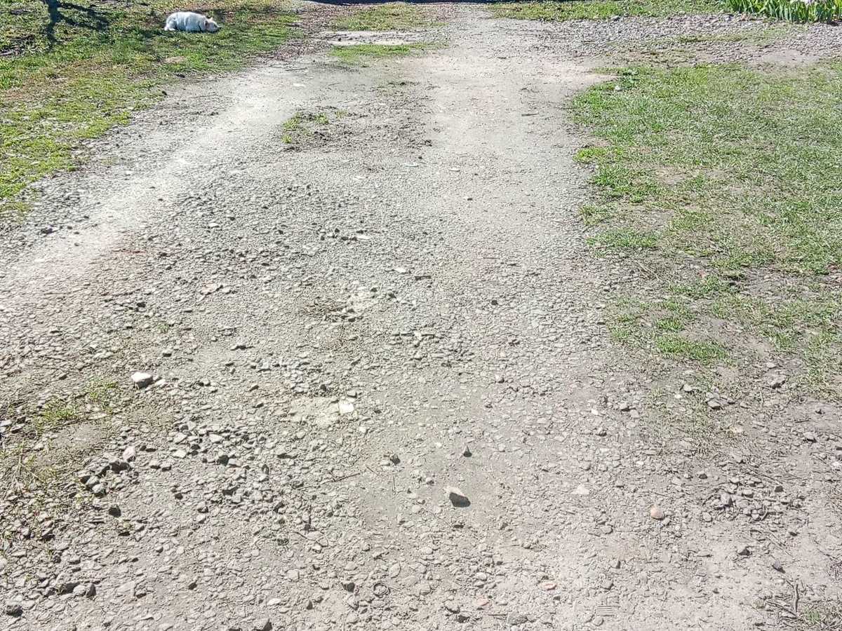 Квартира на проїзд 4 Купайла, 5 в Хмельницькому, ID 393136, фото №13