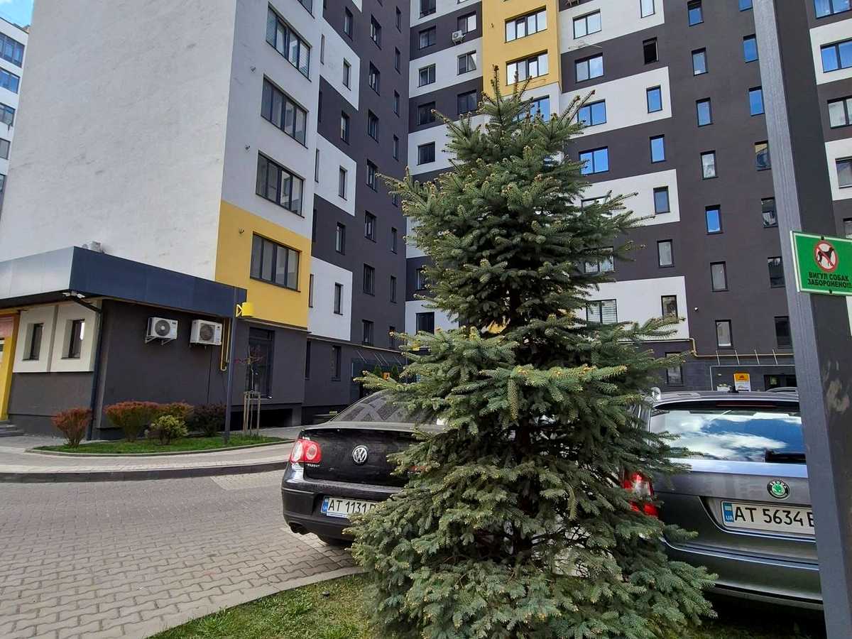 Квартира на вул. Олександра Довженка, 57 в Івано-Франківськ, ID 230537, фото №1