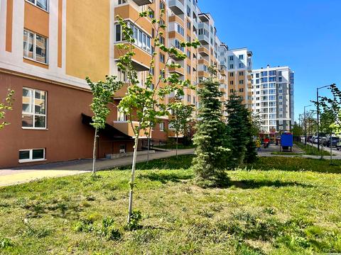 Квартира на вул. Івана Кожедуба, 8-Б в Києві, ID 243533, фото №12