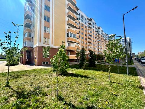 Квартира на вул. Івана Кожедуба, 8-Б в Києві, ID 243533, фото №14