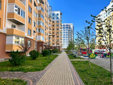 Квартира на вул. Івана Кожедуба, 8-Б в Києві, ID 243533, фото №10