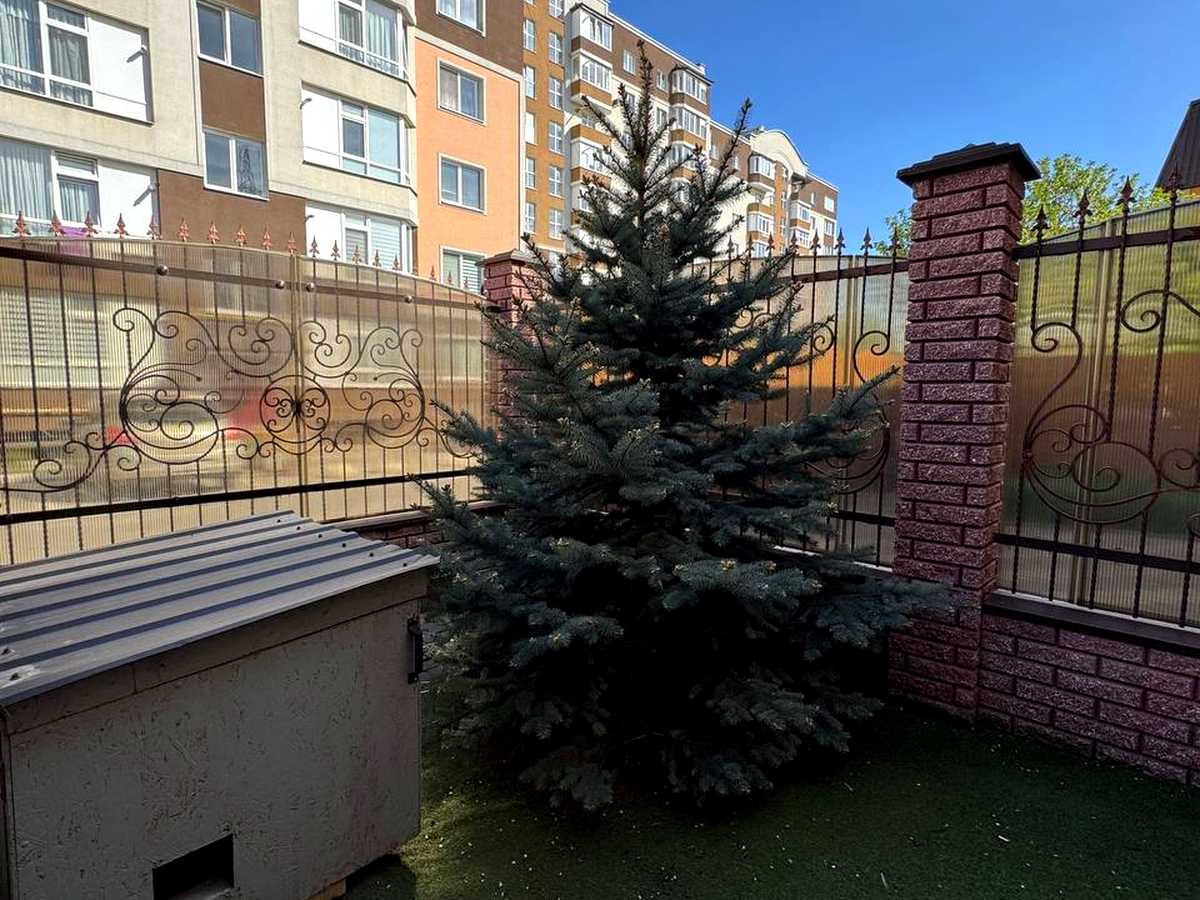Квартира на вул. Степана Бандери, 40 в Хмельницькому, ID 393392, фото №4