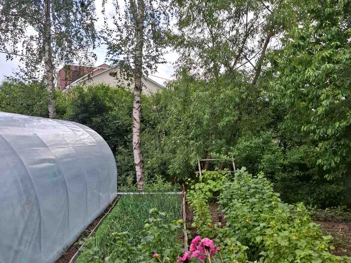 Квартира на вул. с. Крихівці, Кераміків, 6 в Івано-Франківську, ID 305363, фото №23